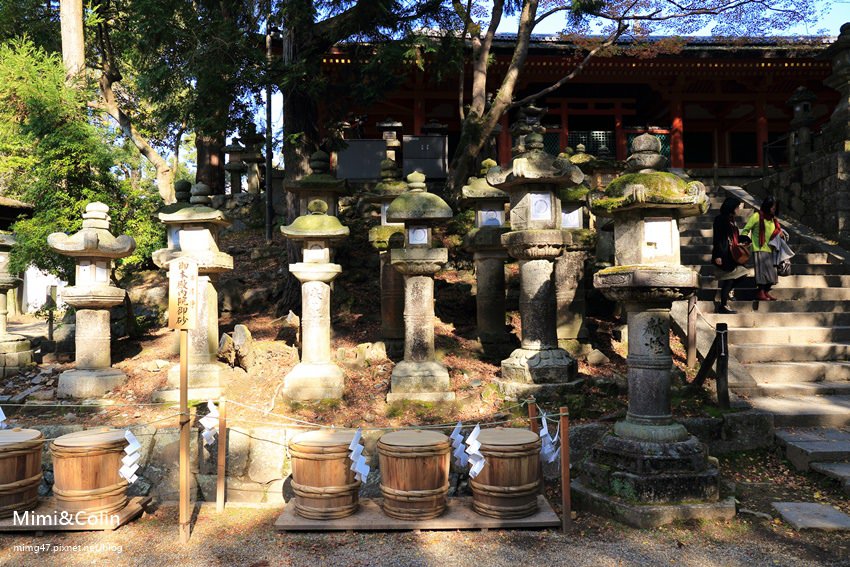 奈良東大寺-42.jpg