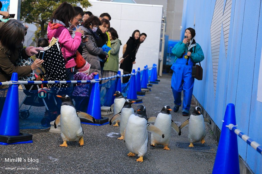 名古屋水族館-25.jpg