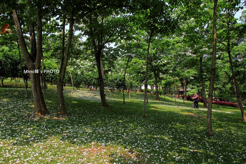 客家大院15.JPG
