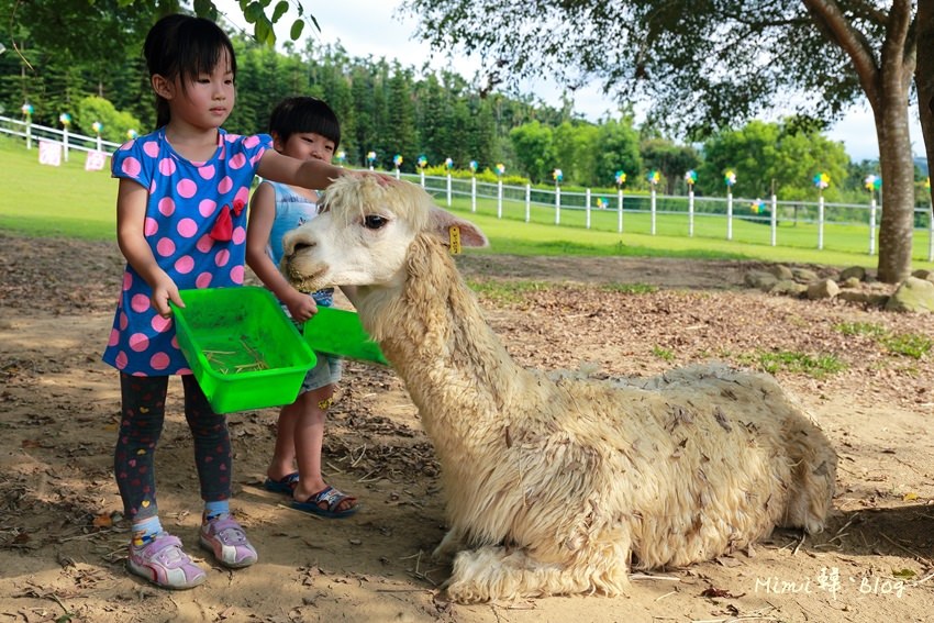 嘉義獨角仙牧場-37.jpg