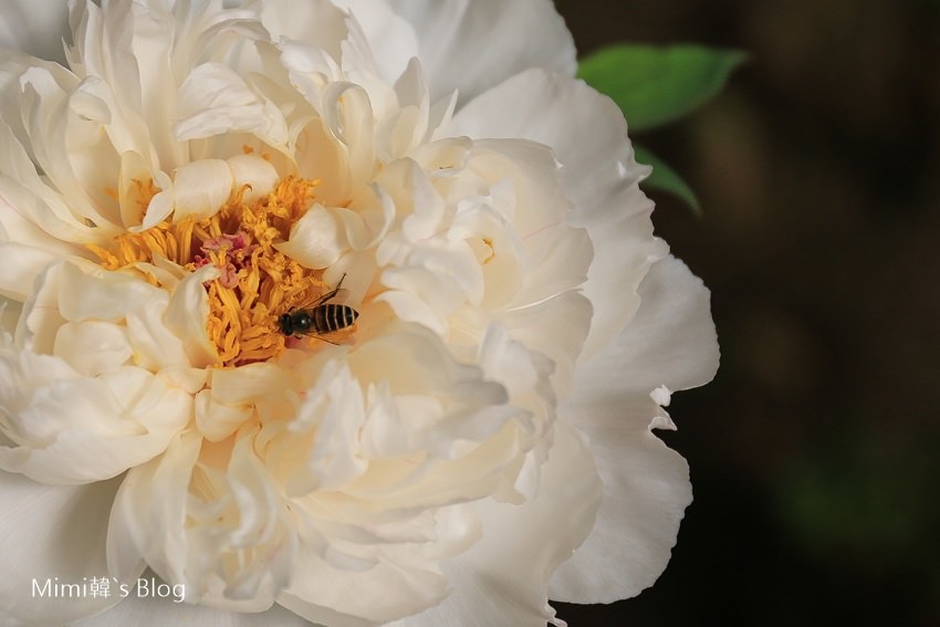 IMG_7577-57.jpg IMG_7577-57.jpg