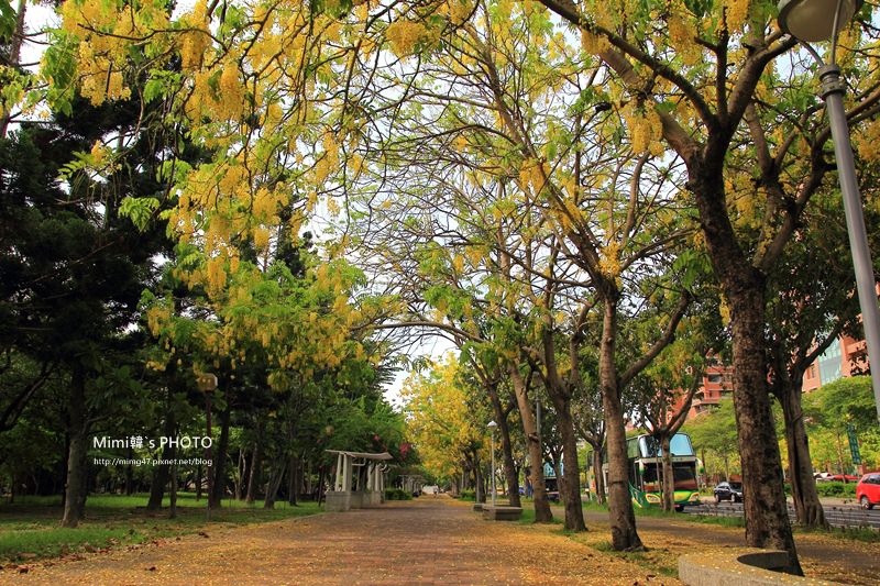 IMG_5080.JPG IMG_5080.JPG