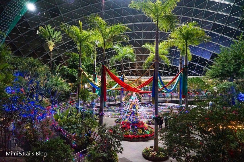 DSC09893.jpg DSC09893.jpg