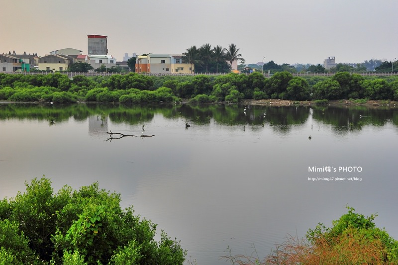 IMG_8525.JPG IMG_8525.JPG