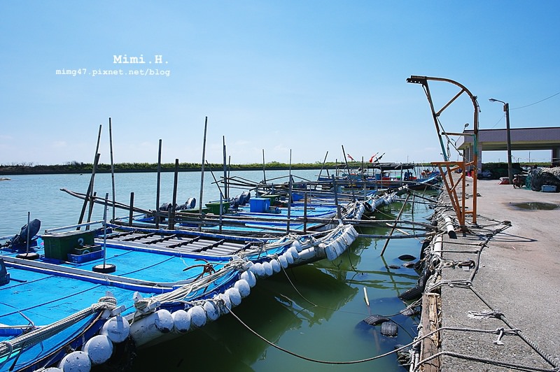 將軍漁港1.JPG