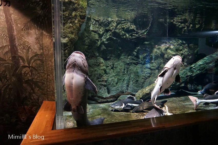 1489236828948-17.jpg 1489236828948-17.jpg