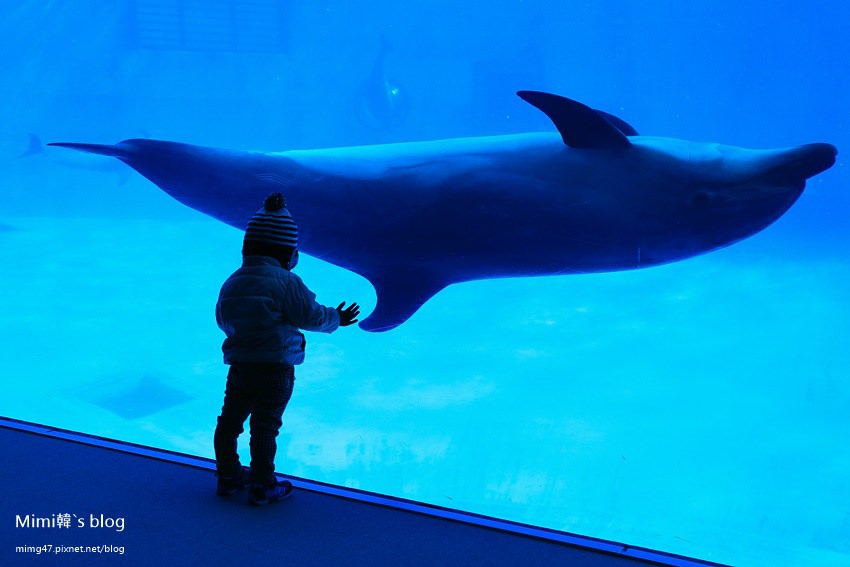 名古屋水族館-33.jpg