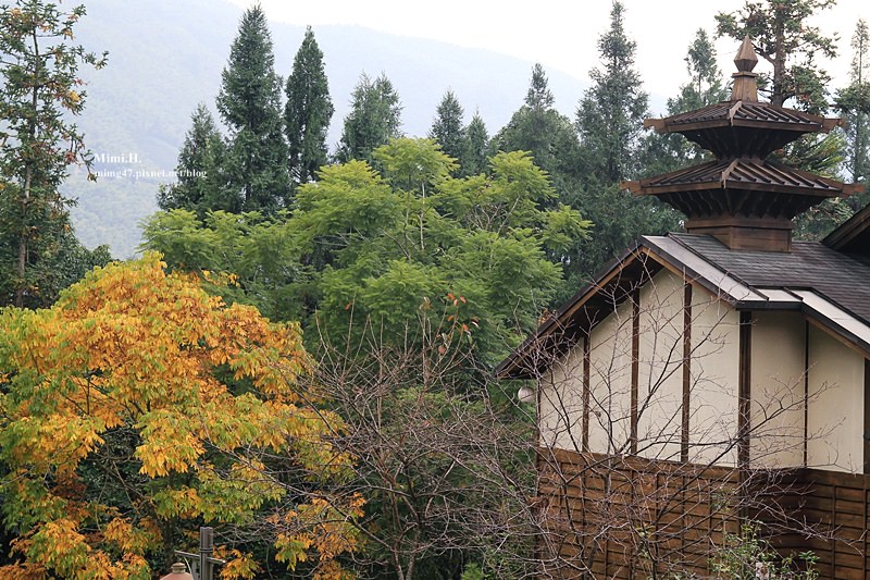 鹿谷內湖國小6.JPG