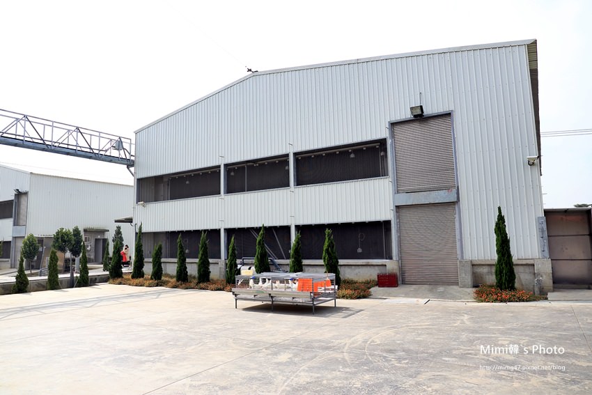 石安牧場12.JPG