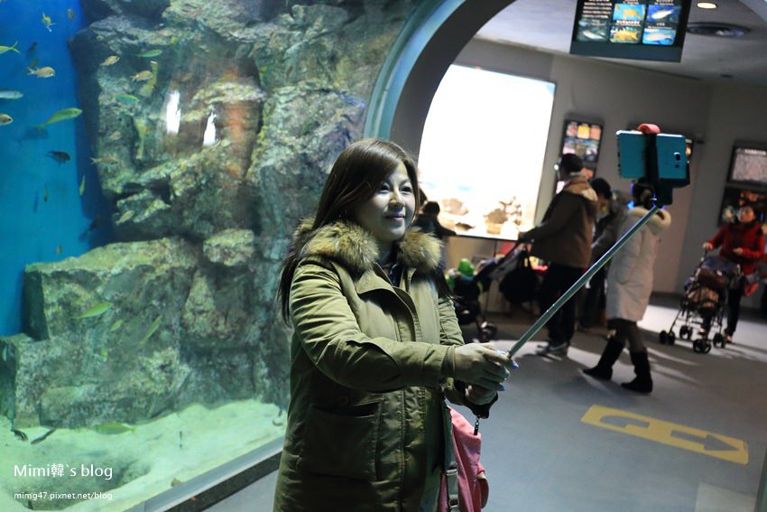 名古屋水族館-38.jpg