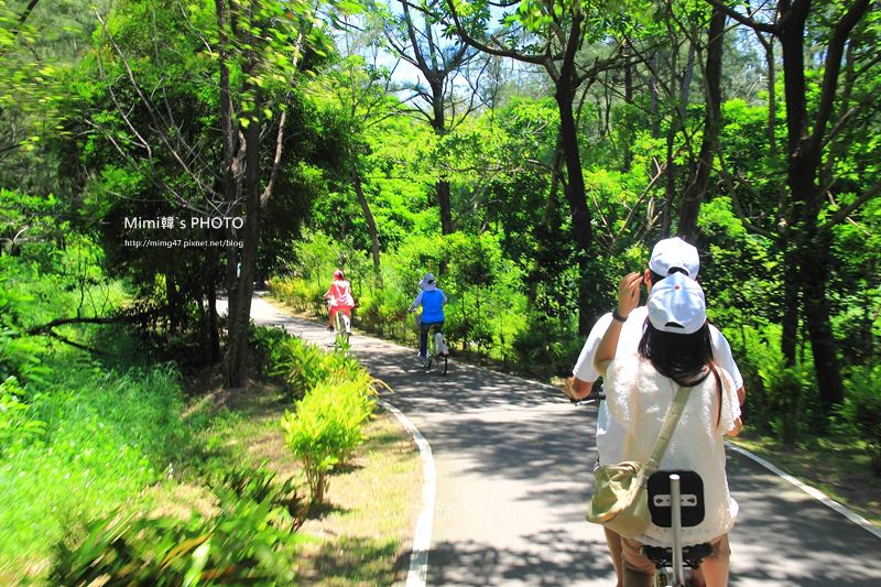 台東森林公園16.JPG