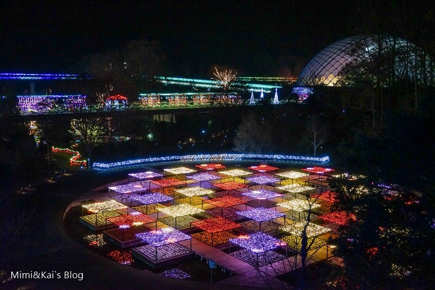 DSC09939.jpg DSC09939.jpg