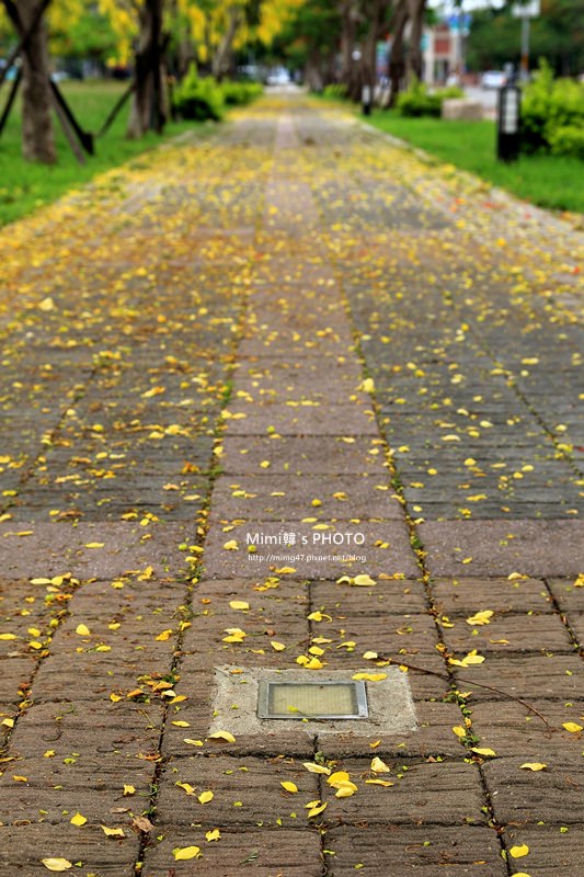 IMG_4851.JPG IMG_4851.JPG