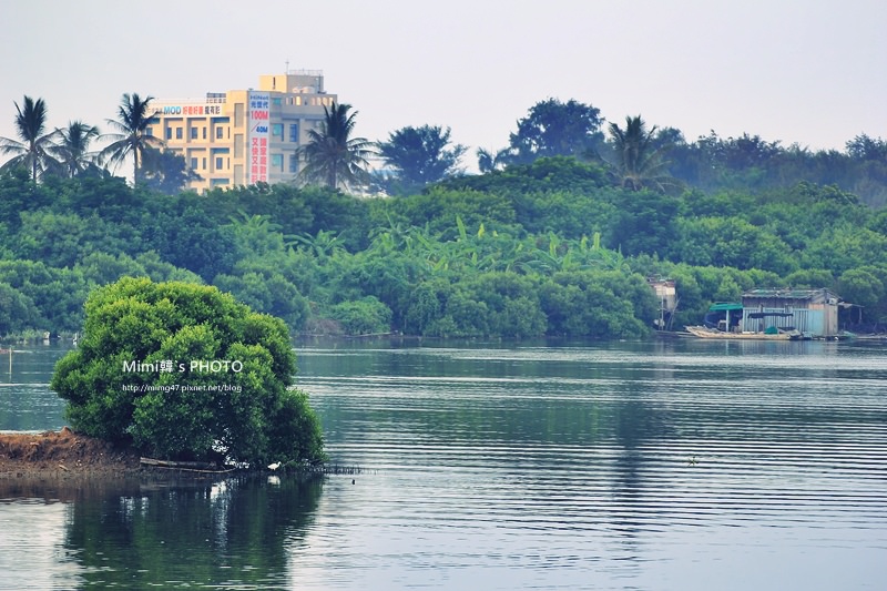 IMG_8530.JPG IMG_8530.JPG