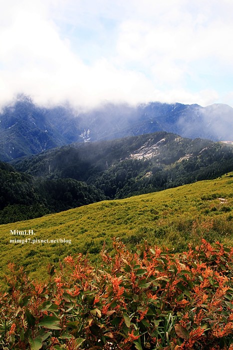 合歡山20.JPG