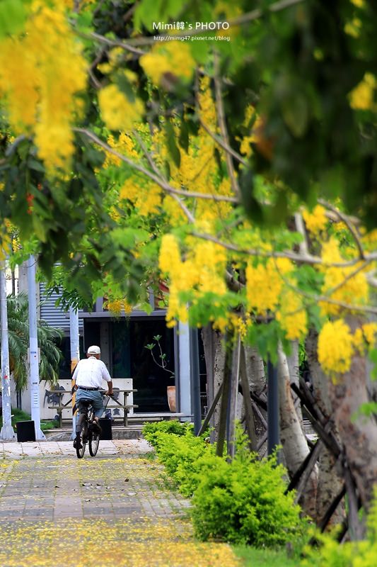 IMG_4856.JPG IMG_4856.JPG