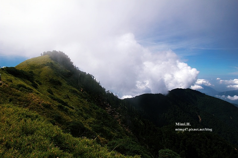 合歡山23.JPG