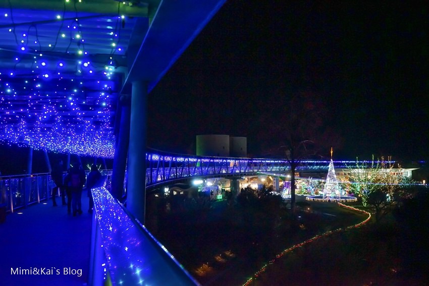 DSC09935.jpg DSC09935.jpg