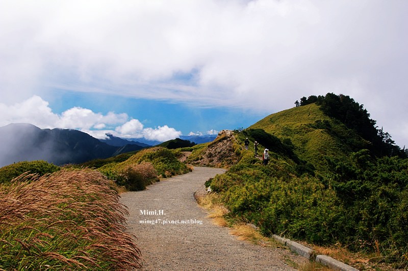合歡山27.JPG