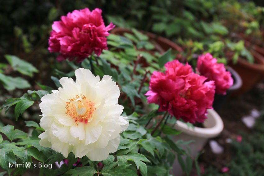 IMG_7580-60.jpg IMG_7580-60.jpg