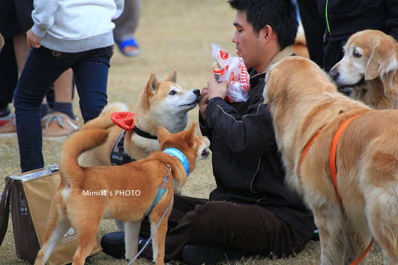 安平林默娘公園15.JPG