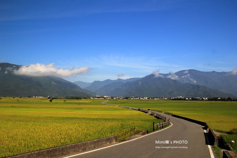 伯朗大道15.JPG
