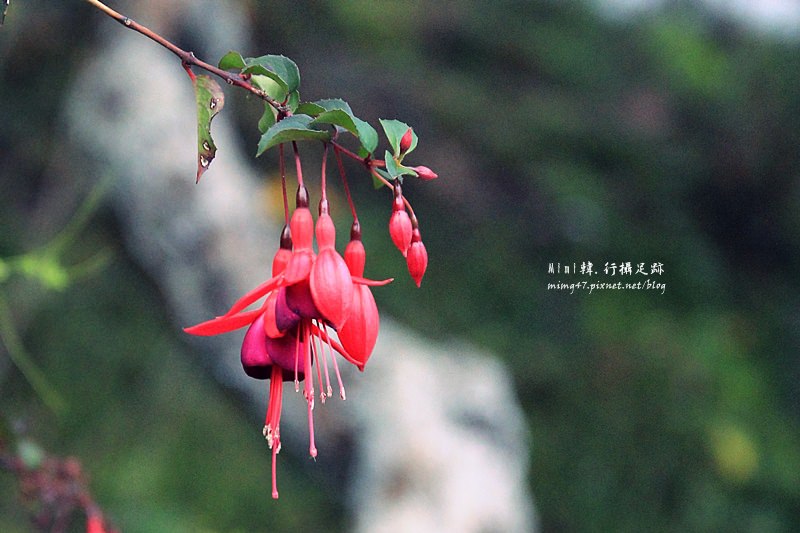 淳境山莊24.JPG 淳境山莊24.JPG