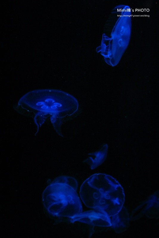 屏東海生館45.JPG
