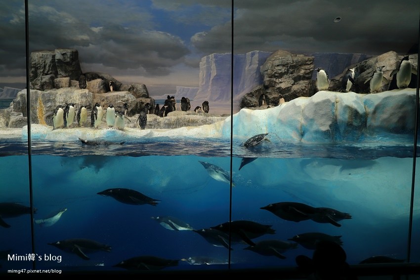 名古屋水族館-50.jpg