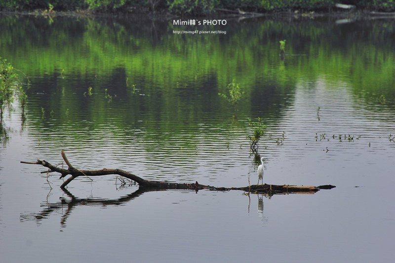 IMG_8527.JPG IMG_8527.JPG