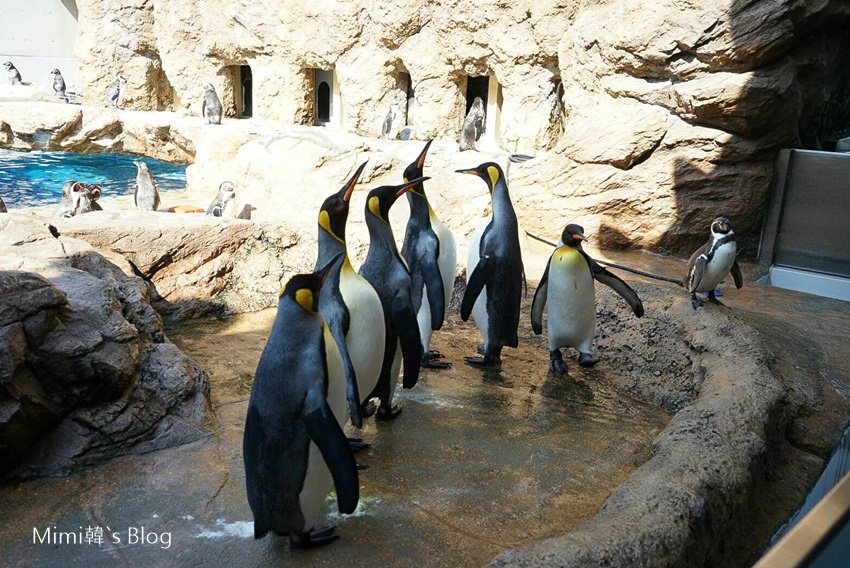 1489235401383-1.jpg 1489235401383-1.jpg