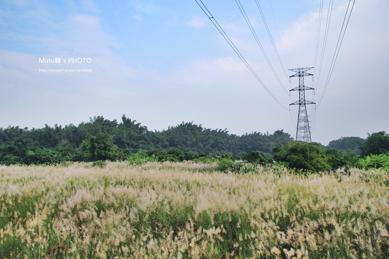 月世界岡林國小2.JPG