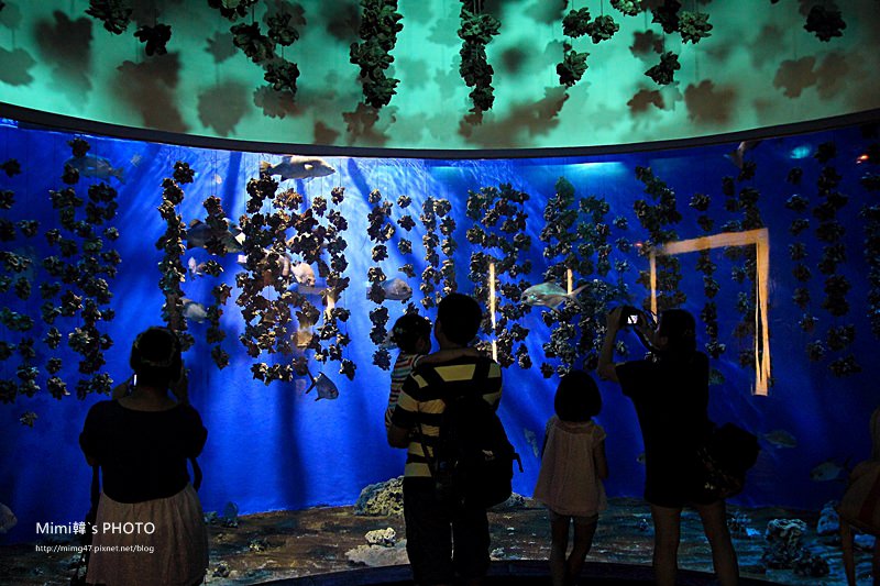 屏東海生館43.JPG