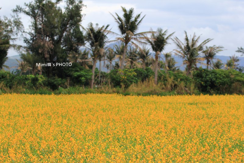 IMG_4127.JPG IMG_4127.JPG