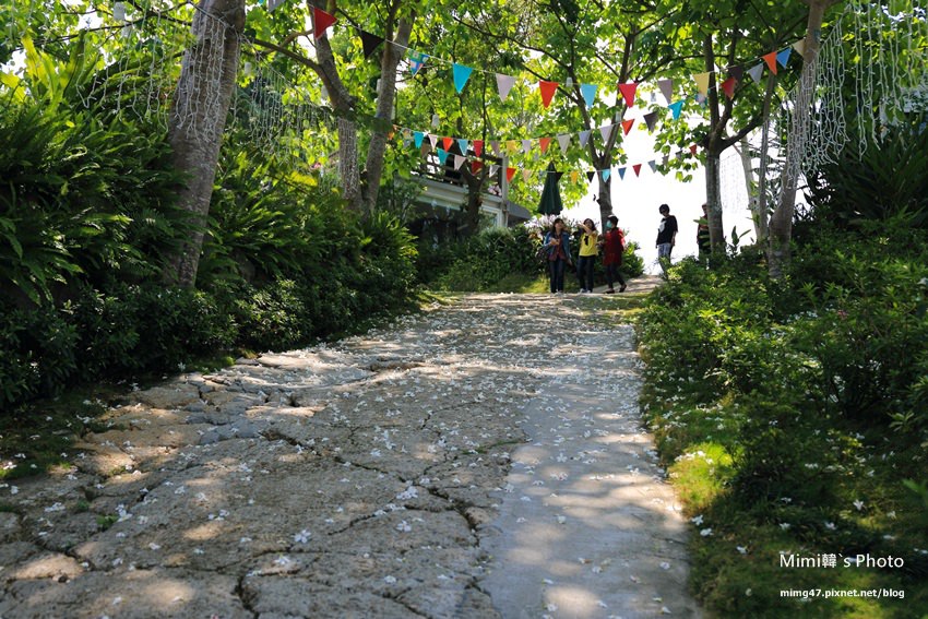 嘉義景點-圓林仔藍花楹油桐花-21.jpg