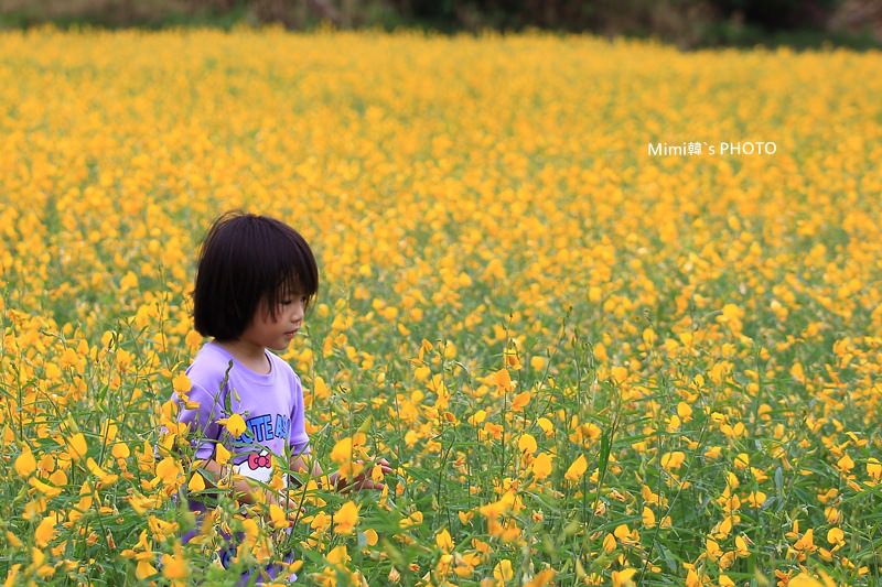 IMG_4138.JPG IMG_4138.JPG