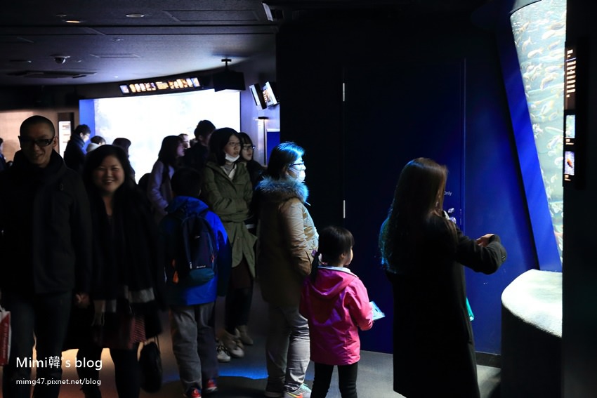 池袋太陽城水族館-25.jpg