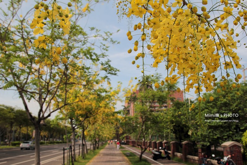 IMG_5064.JPG IMG_5064.JPG