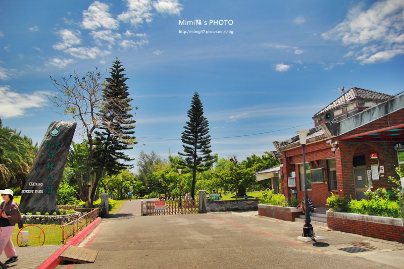 台東森林公園3.JPG