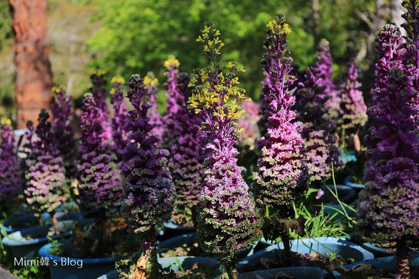 IMG_7554-48.jpg IMG_7554-48.jpg