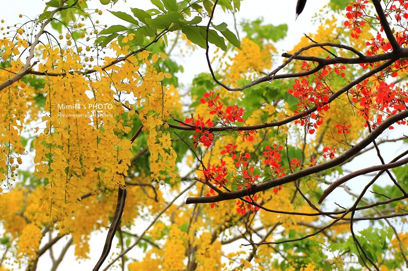 IMG_4853.JPG IMG_4853.JPG