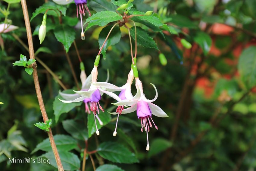 IMG_7599-66.jpg IMG_7599-66.jpg