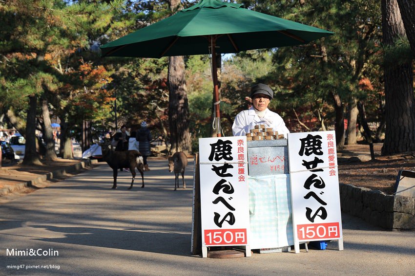 奈良東大寺-17.jpg