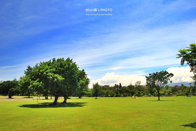 台東森林公園25.JPG
