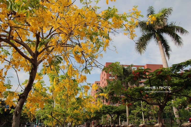 IMG_5069.JPG IMG_5069.JPG