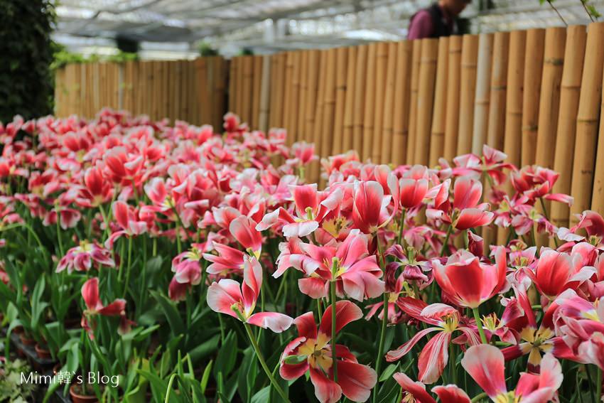 IMG_7562-53.jpg IMG_7562-53.jpg