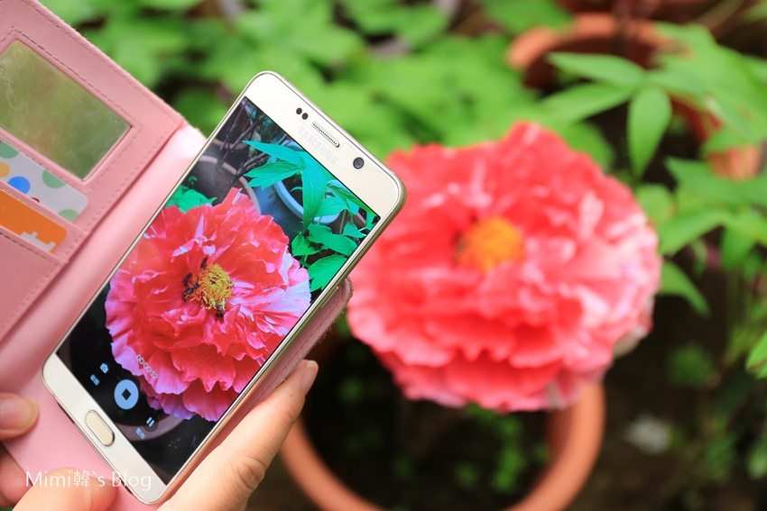 IMG_7610-70.jpg IMG_7610-70.jpg