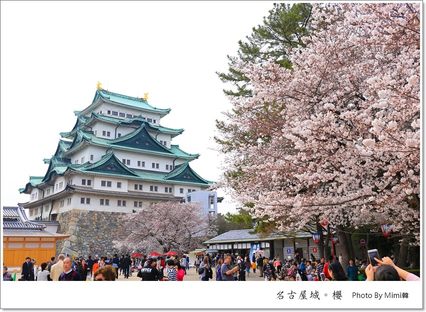 【名古屋賞櫻景點】名古屋城：百株櫻花盛開的日本三大名城，春櫻爛漫無比！