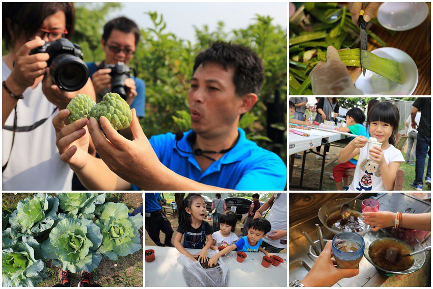 【台南景點】雙「仁」x 雙「農人」小旅行：釋園農場(釋迦怎麼種)、養生蘆薈園(蘆薈怎麼吃)，仁德、歸仁還能這樣玩!!